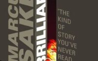 Book Review – Brilliance by Marcus Sakey
