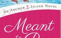 Review – Meant to Be by Terri Osburn