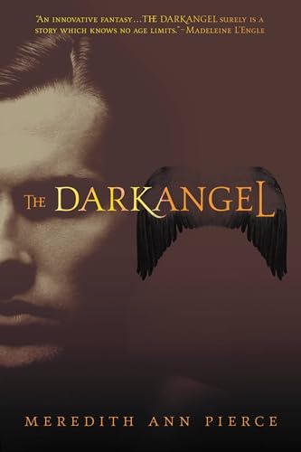 Review – Darkangel – Meredith Ann Pierce