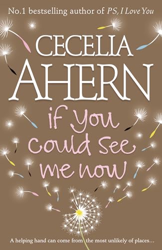 Review – If You Could See Me Now – Cecelia Ahern